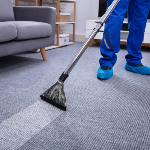 Carpet Cleaning Services