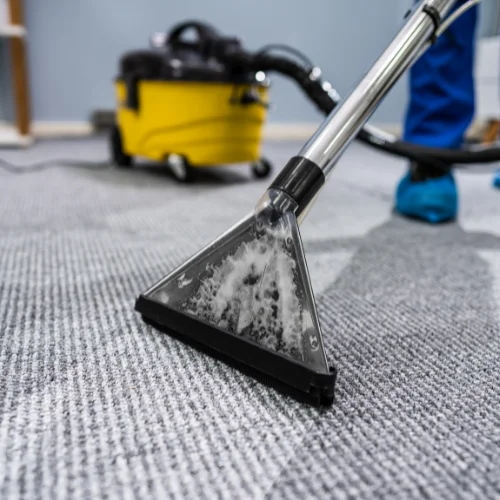 Carpet Cleaning