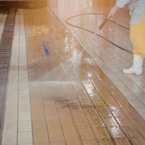 Facilities Management Cleaning Services