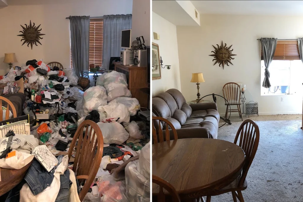Hoarder Cleaning