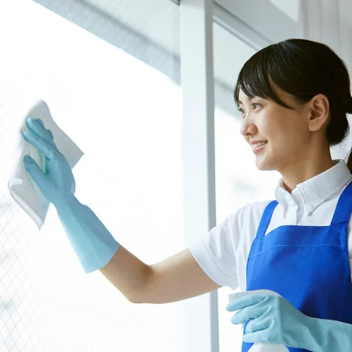 Window Cleaning Services